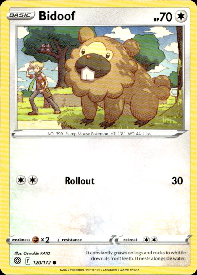 Scanned front of Bidoof