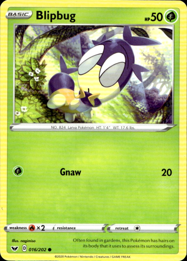 Scanned front of Blipbug