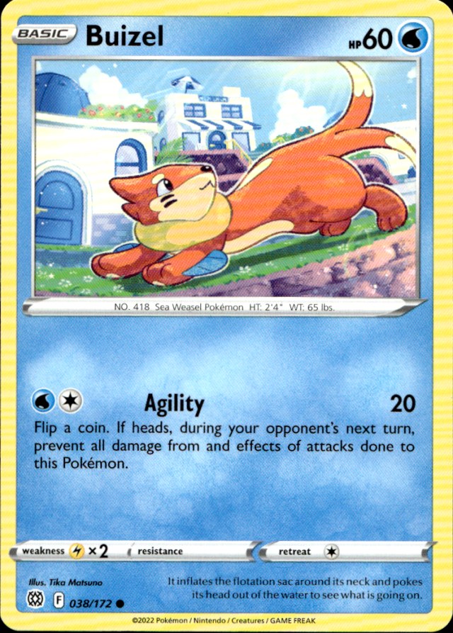 Scanned front of Buizel