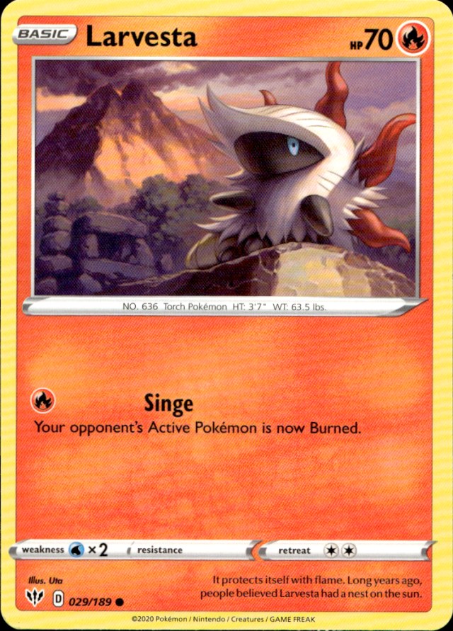Scanned front of Larvesta