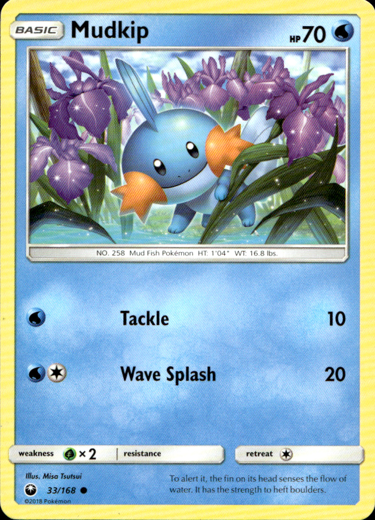 Scanned front of Mudkip