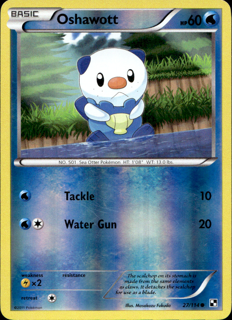 Scanned front of Oshawott