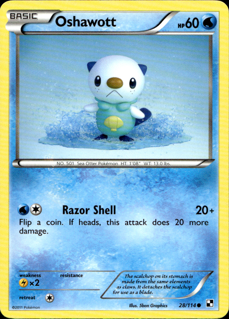 Scanned front of Oshawott