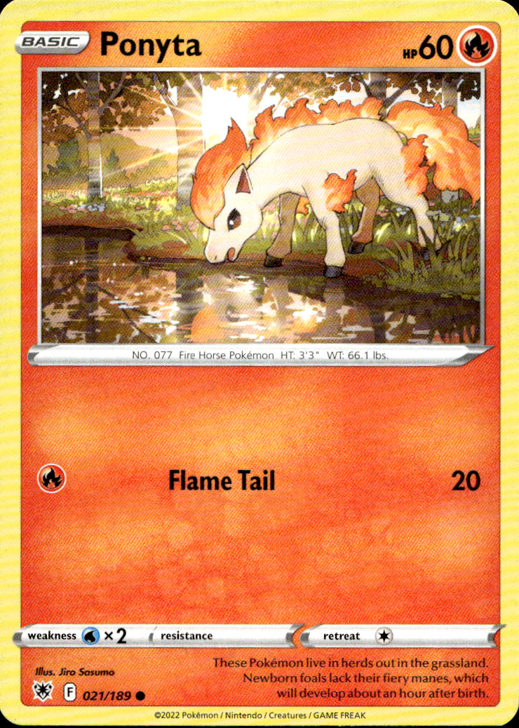 Scanned front of Ponyta
