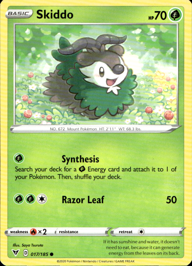 Scanned front of Skiddo