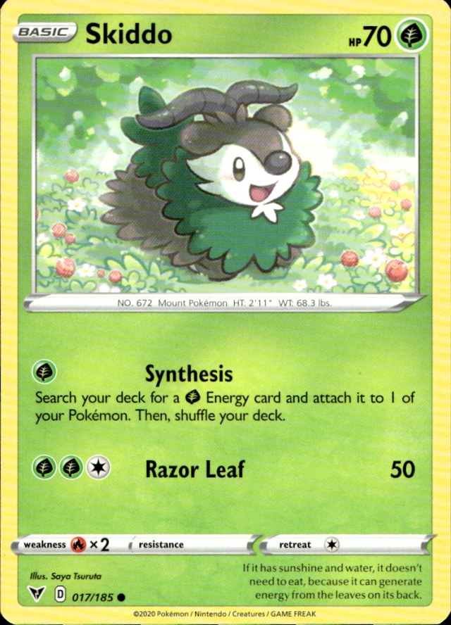 Scanned front of Skiddo